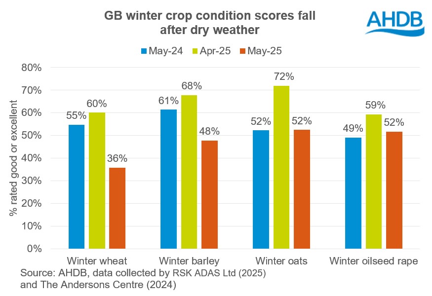 Chart 1 Winter crop conditions 30 05 2025 .j